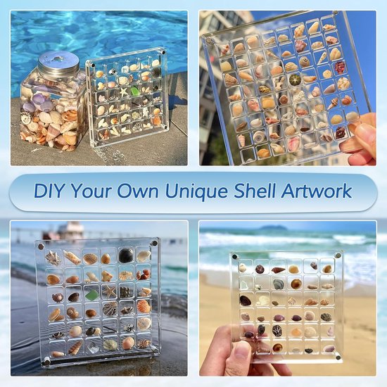 Draagbare acryl Seashell Display Box, 36 roosters, veilig opslaan van uw schelpen, magnetische sluiting (vierkant-100 vierkanten