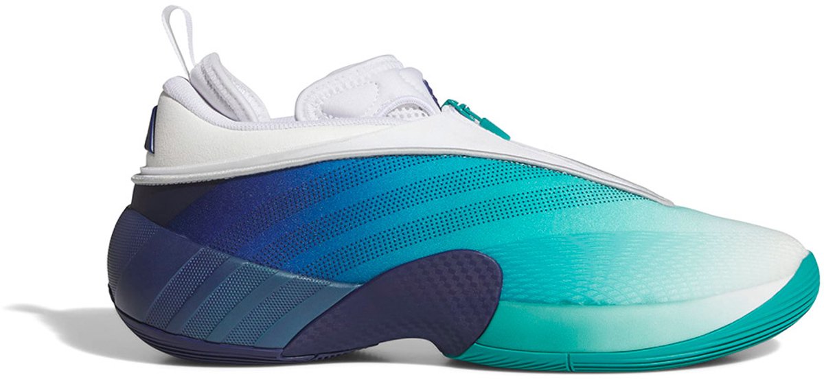 Adidas D.o.n Issue 7 Basketbalschoenen Blauw