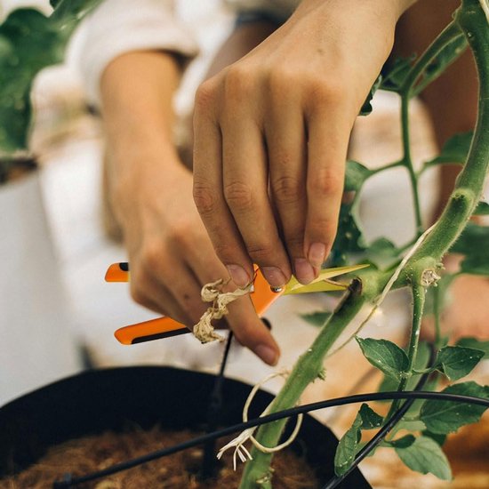 EXCITAT Tuinscharen - Oogstscharen - Rozenscharen - Bonsaischaren - Plantenscharen voor takken, bloemen, fruit Kleine bloemenscharen - 2 stuks van Merkloos	 — afbeelding 4