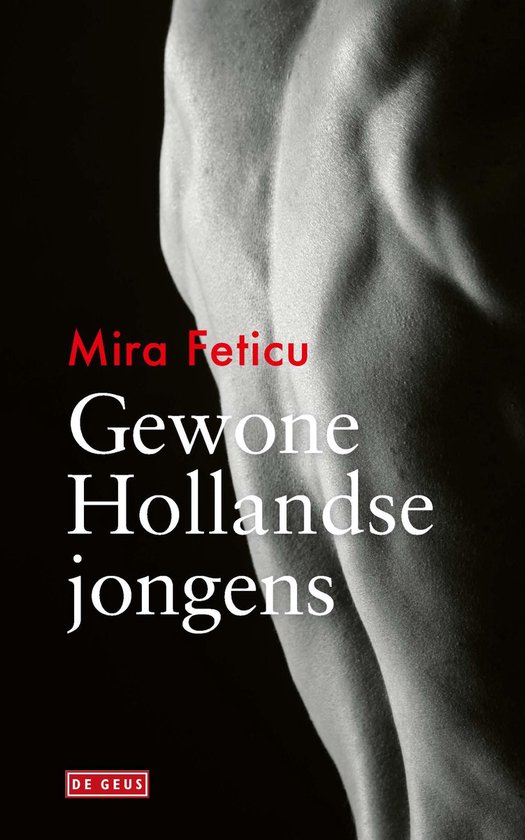 Gewone Hollandse jongens - cover