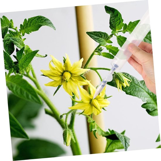 Bestuiving Pen - Professioneel Plantaardige Bestuiver Hulpmiddel - Praktisch Efficiënt - Voor De Bestuiving Van Bloemen Bestuivingstool - Aanbod Handmatige Bestuiver - tuin - Tuingereedschap - Voor Verschillende planten van Merkloos	 — afbeelding 4