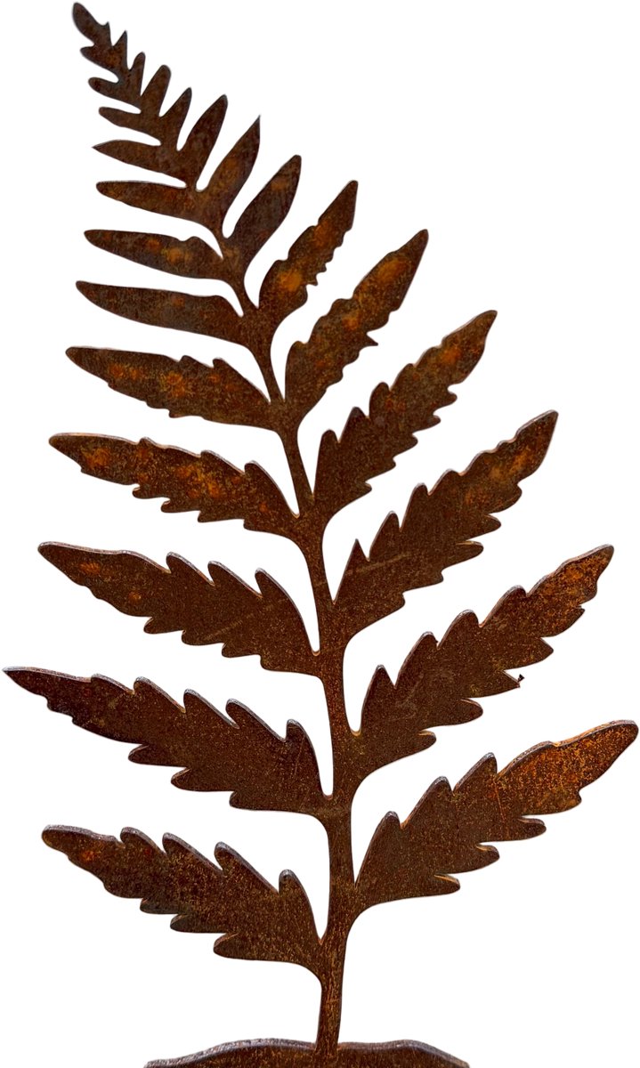Tuinsteker NATURALIS - CORTENSTAAL - Plant