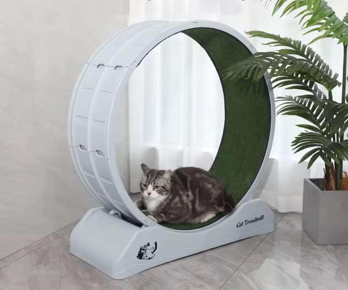 Kattenwiel XL - Loopband Voor Katten - Loopwiel Voor Huisdieren - 80x34x85cm - Duurzaam PP-Stof - Hometrainer Voor Huisdieren
