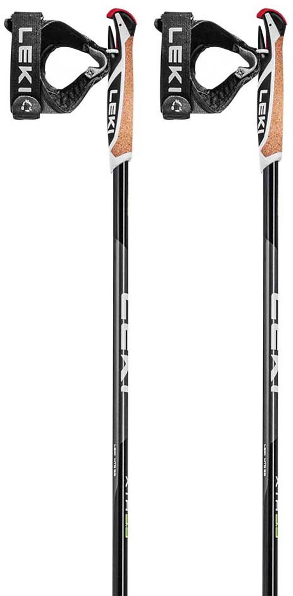 Leki Alpino Xta 5.5 Stokken Zilver 150 cm