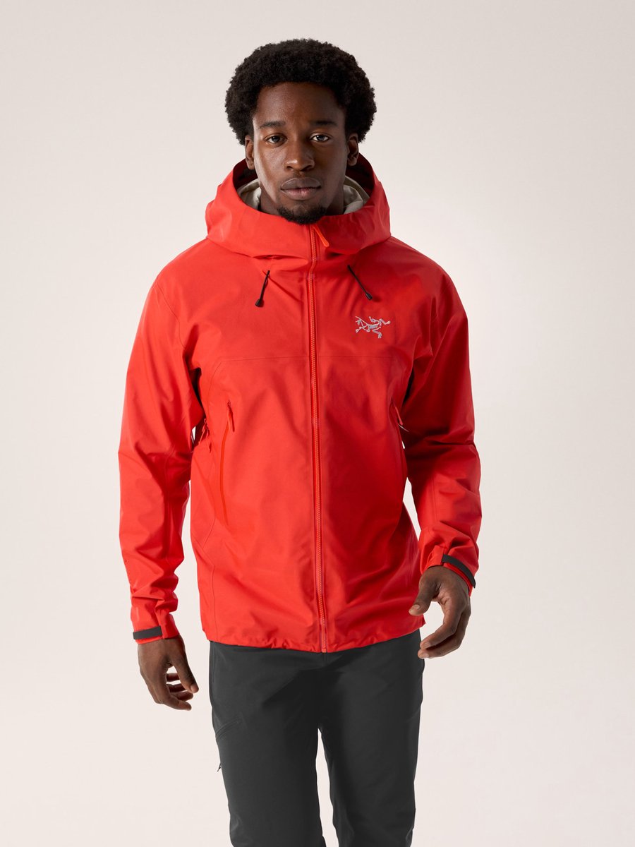 Arc’teryx Beta SL 9684 eden Dynasty
