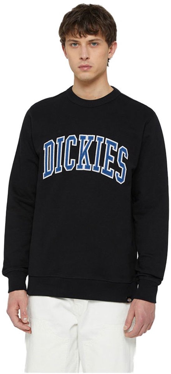 Dickies Aitkin Sweatshirt M Man Zwart