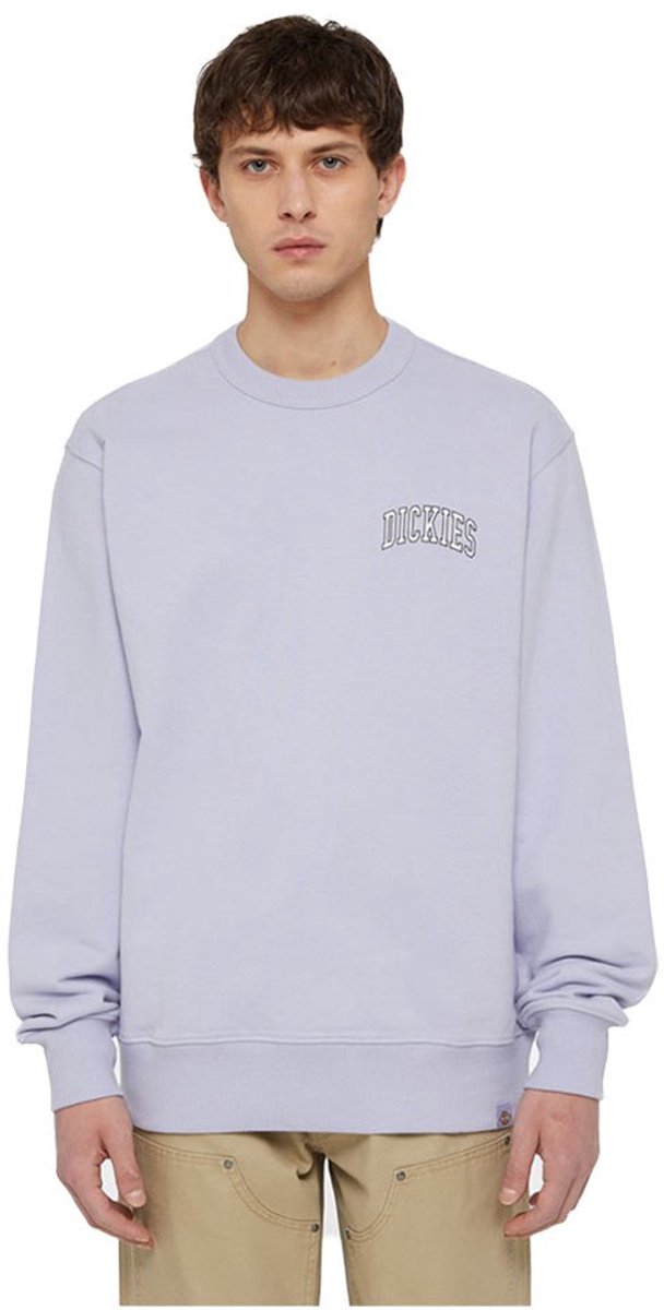 Dickies Aitkin Chest Sweatshirt S Man Vrouw Cosmic Sky