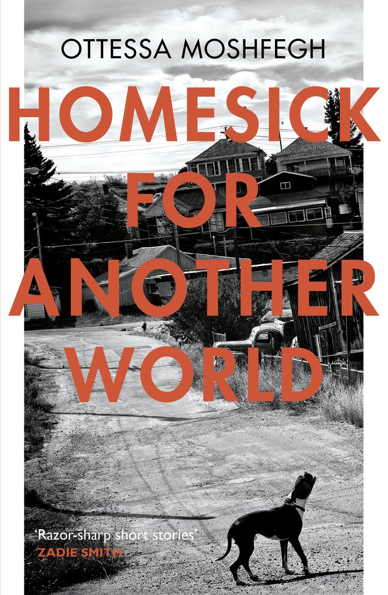 Omslag van Homesick For Another World