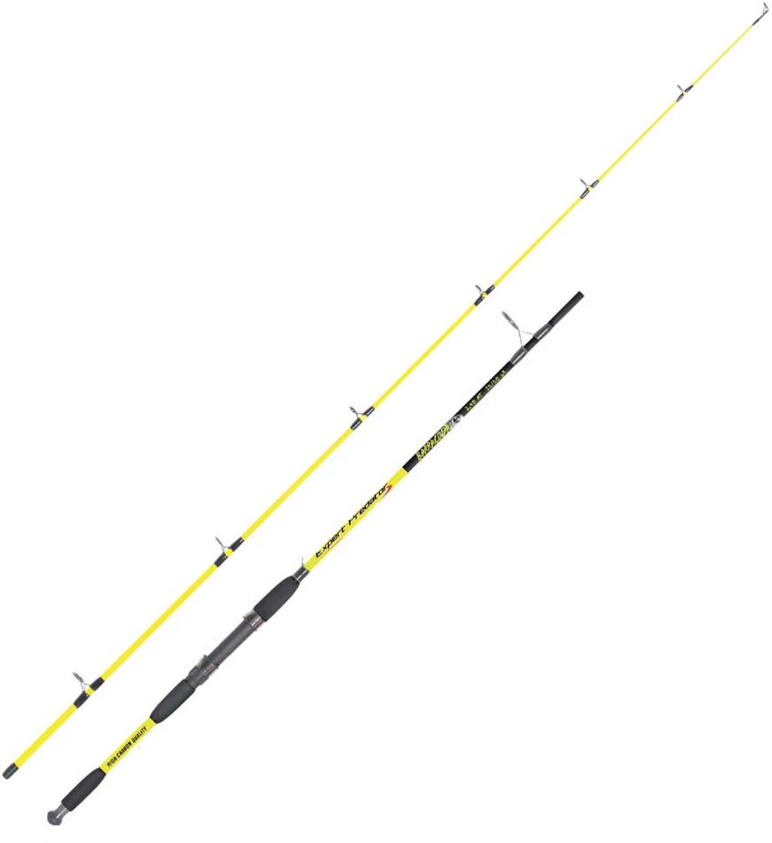 Expert Predator Barracuda Spinhengel Zilver 2.70 m / 20-60 g