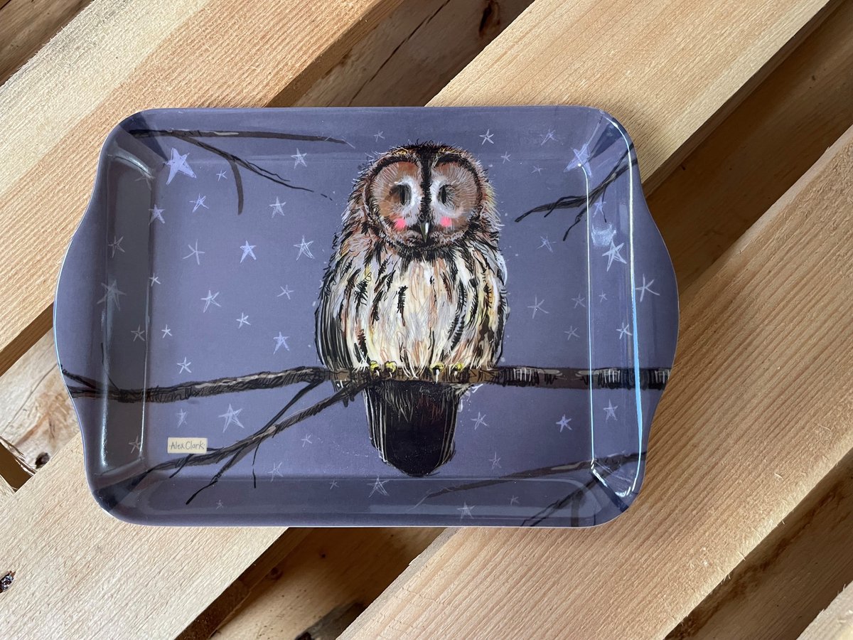 Alex Clark Dienblad Klein Formaat Uil ~ Melamine Tray Night Owl