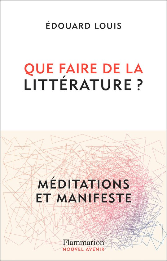 Que faire de la littérature ? - cover