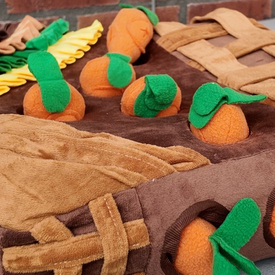 Snuffelmat Hond - De Wortel Kampioen - 21 Wortels - Honden speelgoed - Puppy speelgoed - Speelmat - Snackmat - 45 x 45 cm