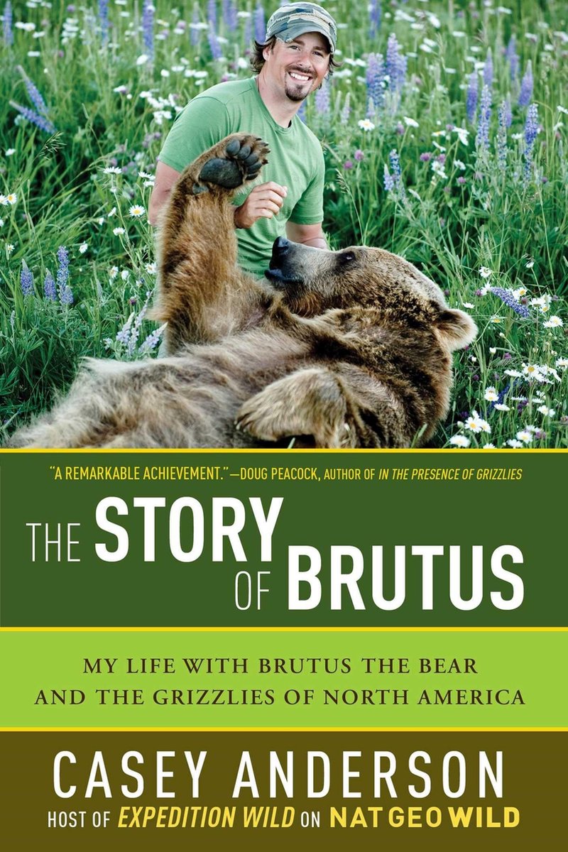 Bol Com The Story Of Brutus Ebook Casey Anderson 9781681770147 Boeken