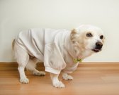 Aquatolia Honden Kleding, Aquatolia hond sweatshirt - Wit