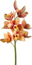 Viv! Home Luxuries Orchidee Cymbidium - zijden bloem - bruin oranje - 62cm - topkwaliteit