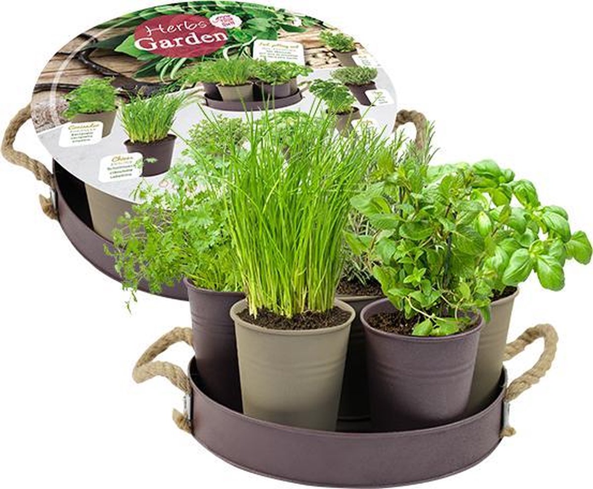 Herb Festival 7 Potjes Kruiden Taupe Kruidenzaden Baltus Zaden