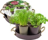 Herb Garden - 7 (Taupe)