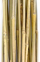 Plant!t Bamboe stokjes 90cm 25 stuks