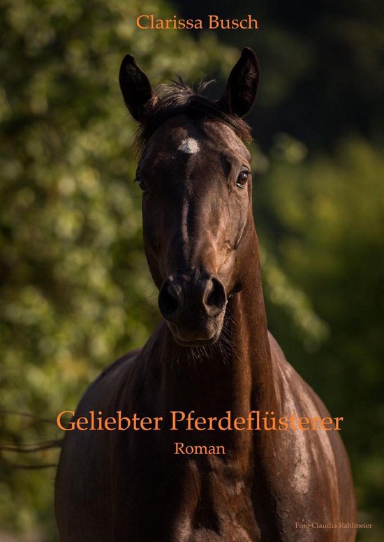 Geliebter Pferdeflüsterer - cover