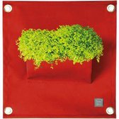 Plantenbak Blooming Walls The Green Pockets AMMA1 - Dark Red