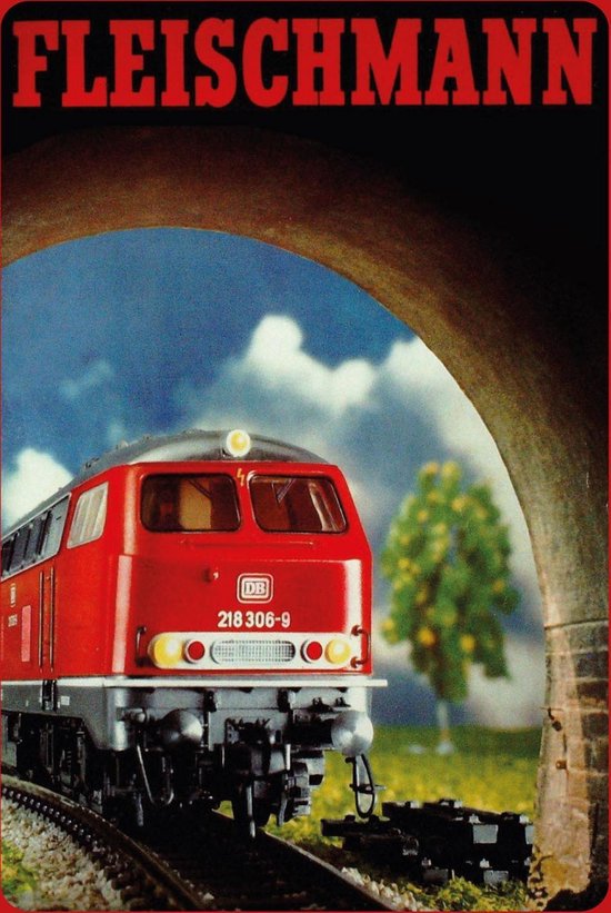 Wandbord - Fleischmann DB 218 306-9 -20x30cm-
