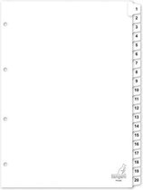 2x Tabbladen 1-20 genummerd A4  formaat 4 gaats/rings - Organiseren/opbergen kantoorartikelen