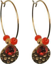 Stainless steel - oorbellen - dames - goudkleurig - FlowJewels