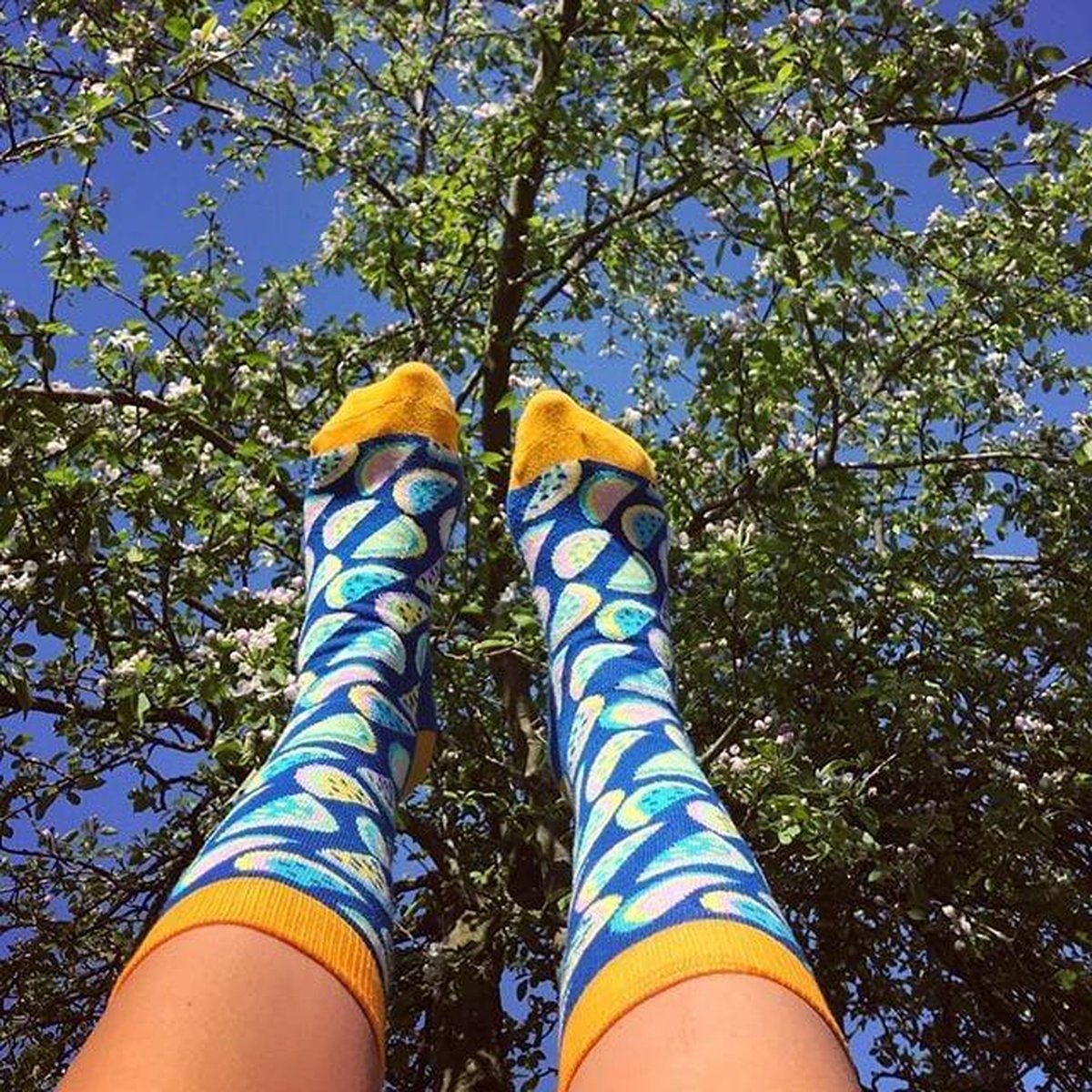 Watermeloen sokken Meloen | fruit sokken | Multi-color | Onesize fits all | Herensokken en damessokken | Leuke, grappig sokken | Funny socks that make you happy | Sock & Sock