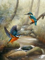 Diamond painting - Volwassenen - Dieren - Vogels - 20 x 30 cm - Compleet pakket