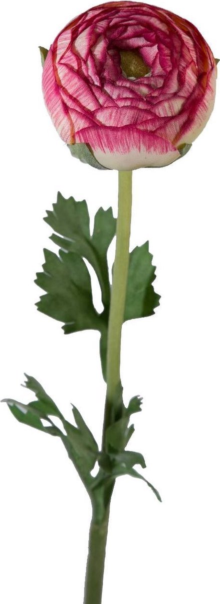 Viv! Home Luxuries Ranonkel - zijden bloem - rood wit - 50cm