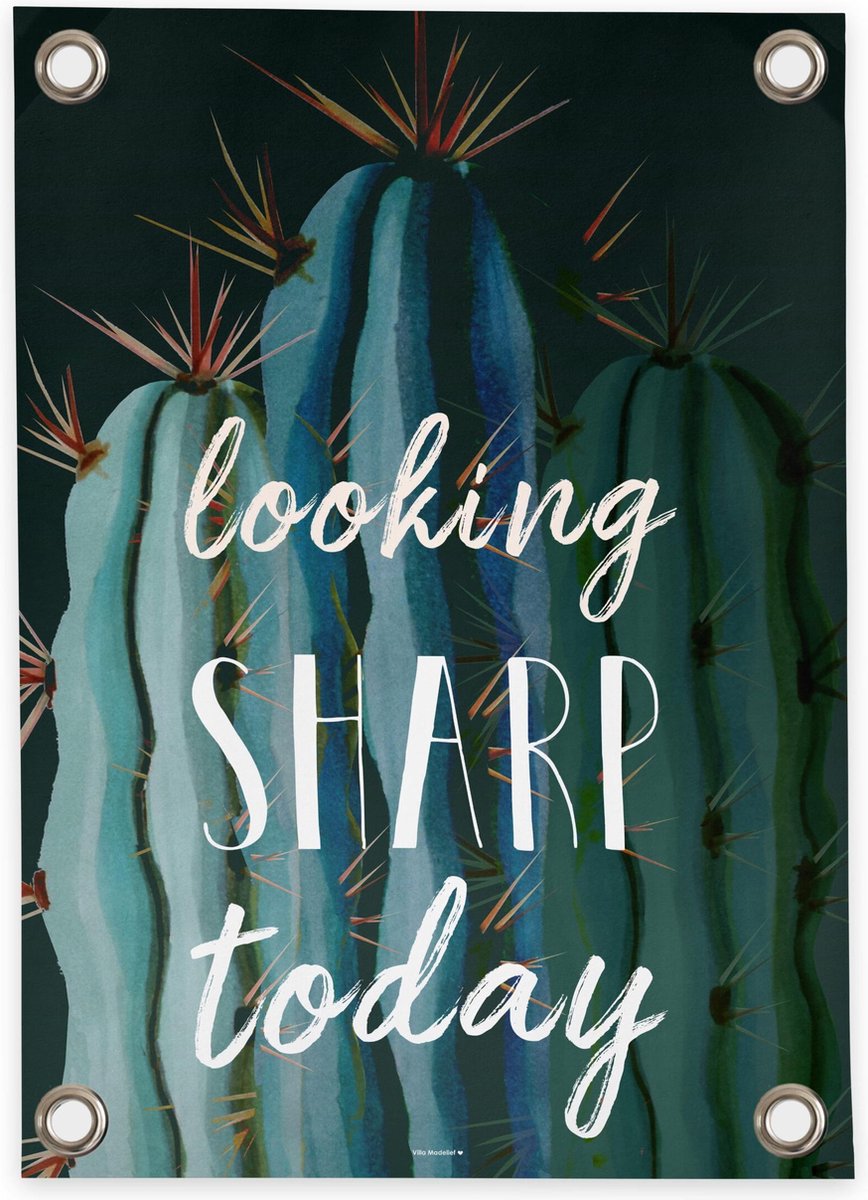 Villa Madelief Tuinposter Cactus - 70x100cm - Vinyl - Tuindecoratie - Tuinschilderij - Schuttingposter - Tuindoek - Buitenposter voor in de tuin - Waterafstotend - Quote Collectie