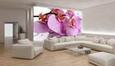 Flowers Orchids Drops Photo Wallcovering