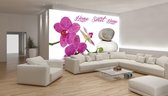 Zen Orchids Flowers Stones Water Photo Wallcovering