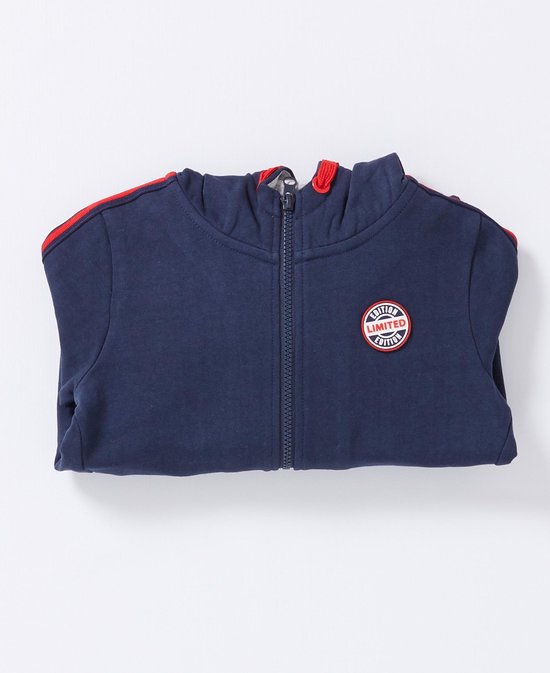 | Europe Kids Kinderkleding > Jongenskleding Truien & Vesten Jongens Kinderkleding | Bambino
