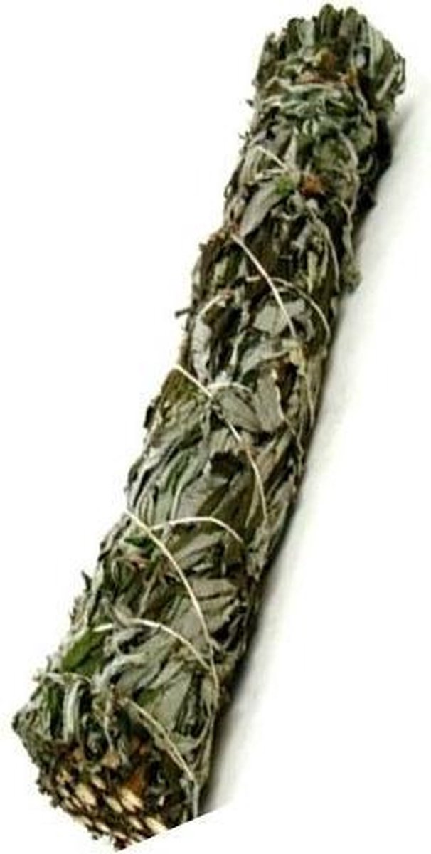 Green Tree Black Sage Smudge Stick 22.5cm. - Zwarte Salie