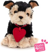 Studio Pets - Knuffelset - Yorkshire Terrier puppy Romeo 16 cm met koffer, paspoort en stickerboek