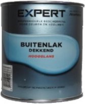 Expert Buitenlak Hoogglans - Bentheimergeel - 0,75 L