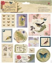 Docrafts: Nature's Gallery 8 x 8 Label Stickers (12pcs)