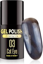 Cat-Eye Blauw 03 - Magnetic Gelpolish incl. magneet stick - gellak, acryl nagels, gel nagels, pedicure, nepnagels