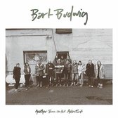 Bart Budwig - Another Burn Of The Astroturf (LP)