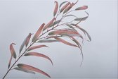 Silk-ka Kunstbloem Eucalyptus Tak Grijs-Roze 122 cm