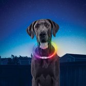 2 x Luxe Lichtgevende Led Honden Halsband Oplaadbaar Night Hawk Multicolor Rood Blauw Groen Licht