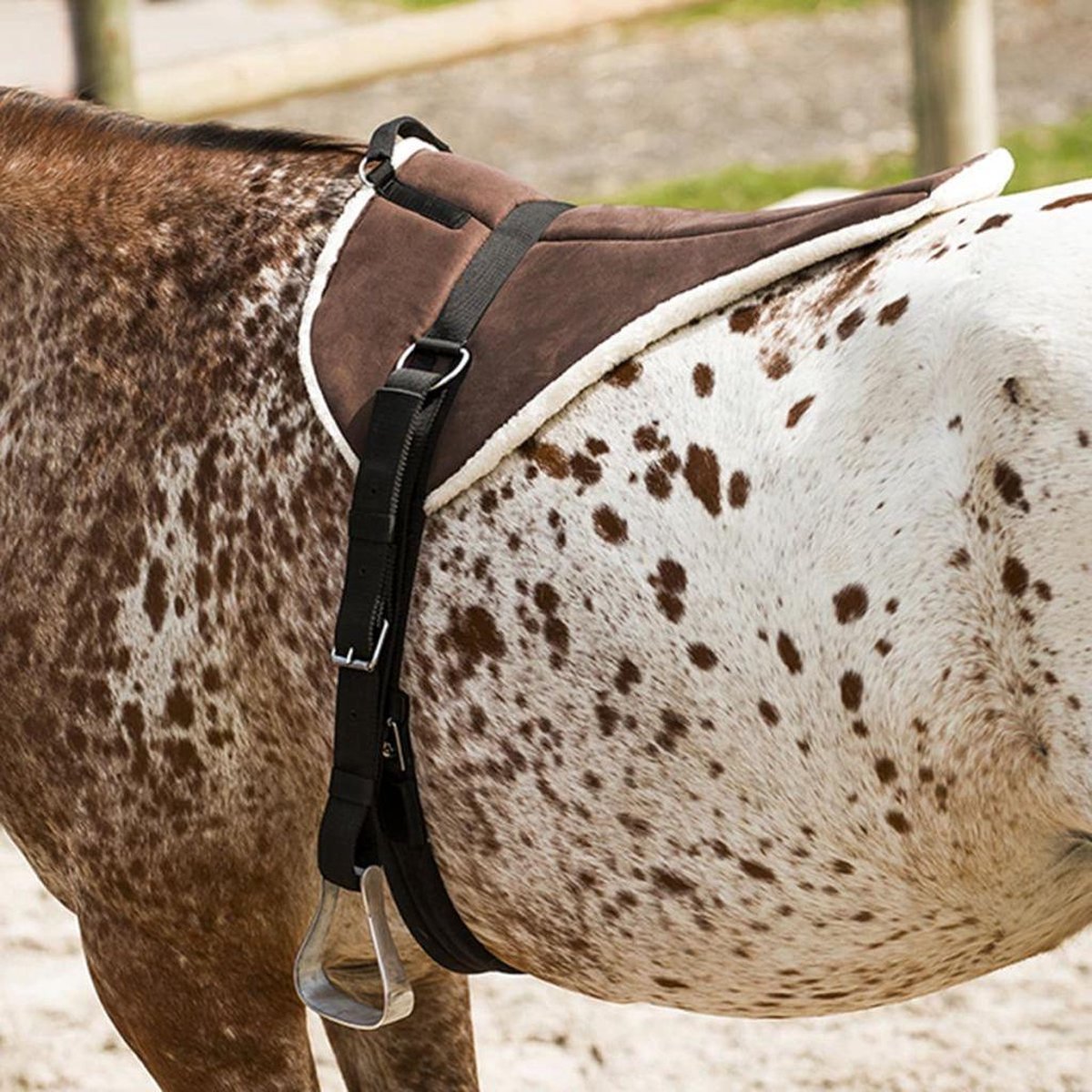 Norton Bareback Pad Soft Bruin - paard