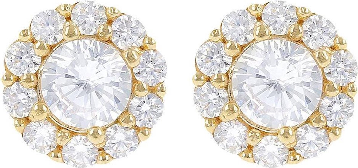 oorbellen WSBZ00773Y.WY