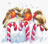 Borduurpakket Christmas Birds - Luca-S