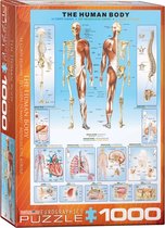Eurographics puzzel The Human Body - 1000 stukjes