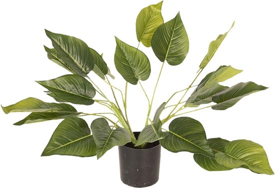 Clayre & Eef | Decoratie kamerplant 46 cm | Groen | kunststof / foam | Plant | 5PL0025