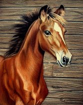 Diamond painting - Bruin paard met hout - 40x30cm