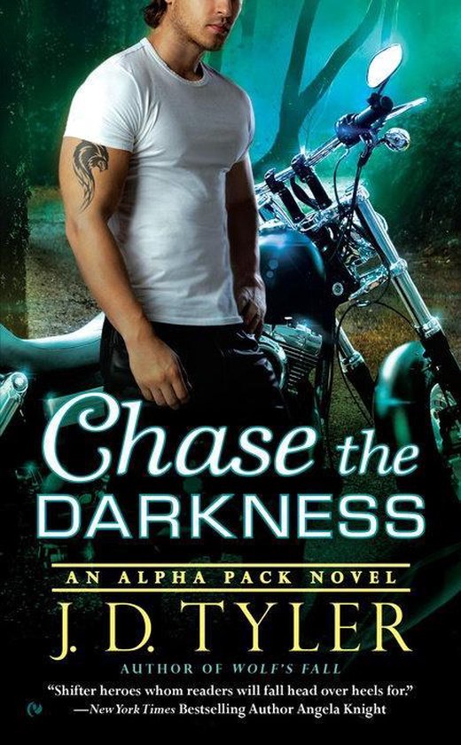 Chase the Darkness - cover