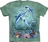 KIDS T-shirt Find 12 Dolphins S